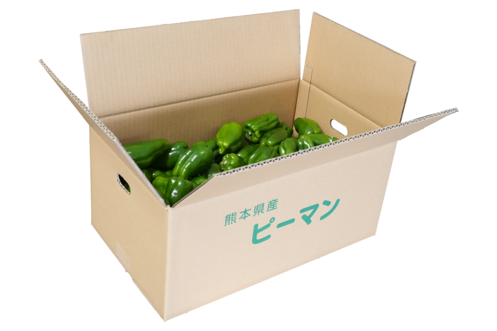 Daimon farm
大門剛
ピーマン
4kg DB: 定価3500円/箱