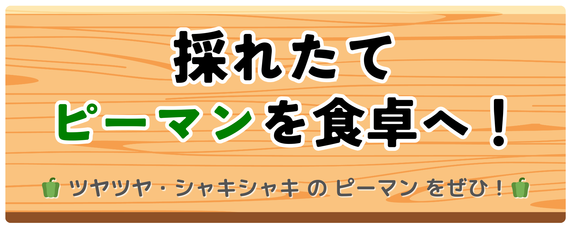 採れたてのピーマンを食卓へ！ ツヤツヤ・シャキシャキのピーマンをぜひ！