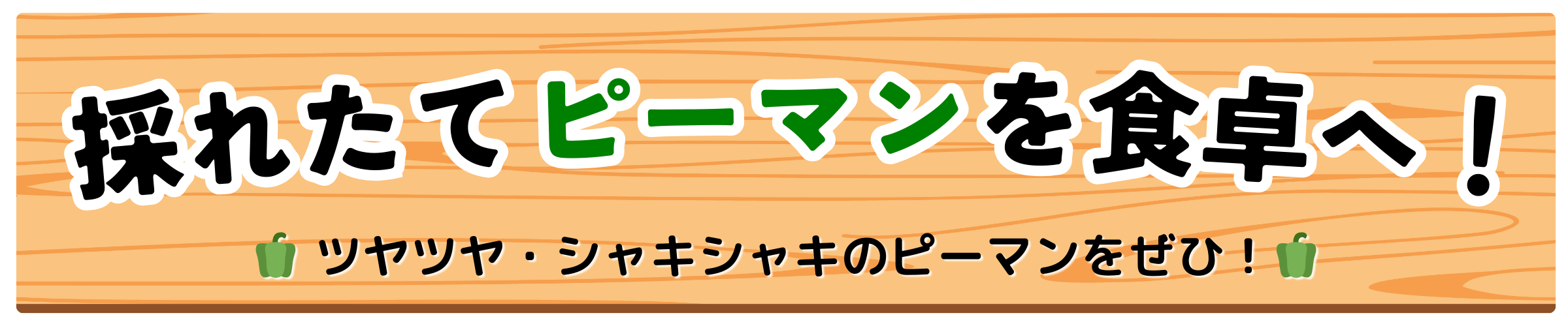 採れたてのピーマンを食卓へ！
ツヤツヤ・シャキシャキのピーマンをぜひ！